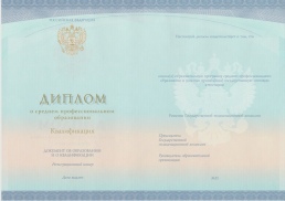 Колледж с 2014 по 2025 год