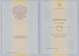 Бакалавр с 2009 по 2011 год
